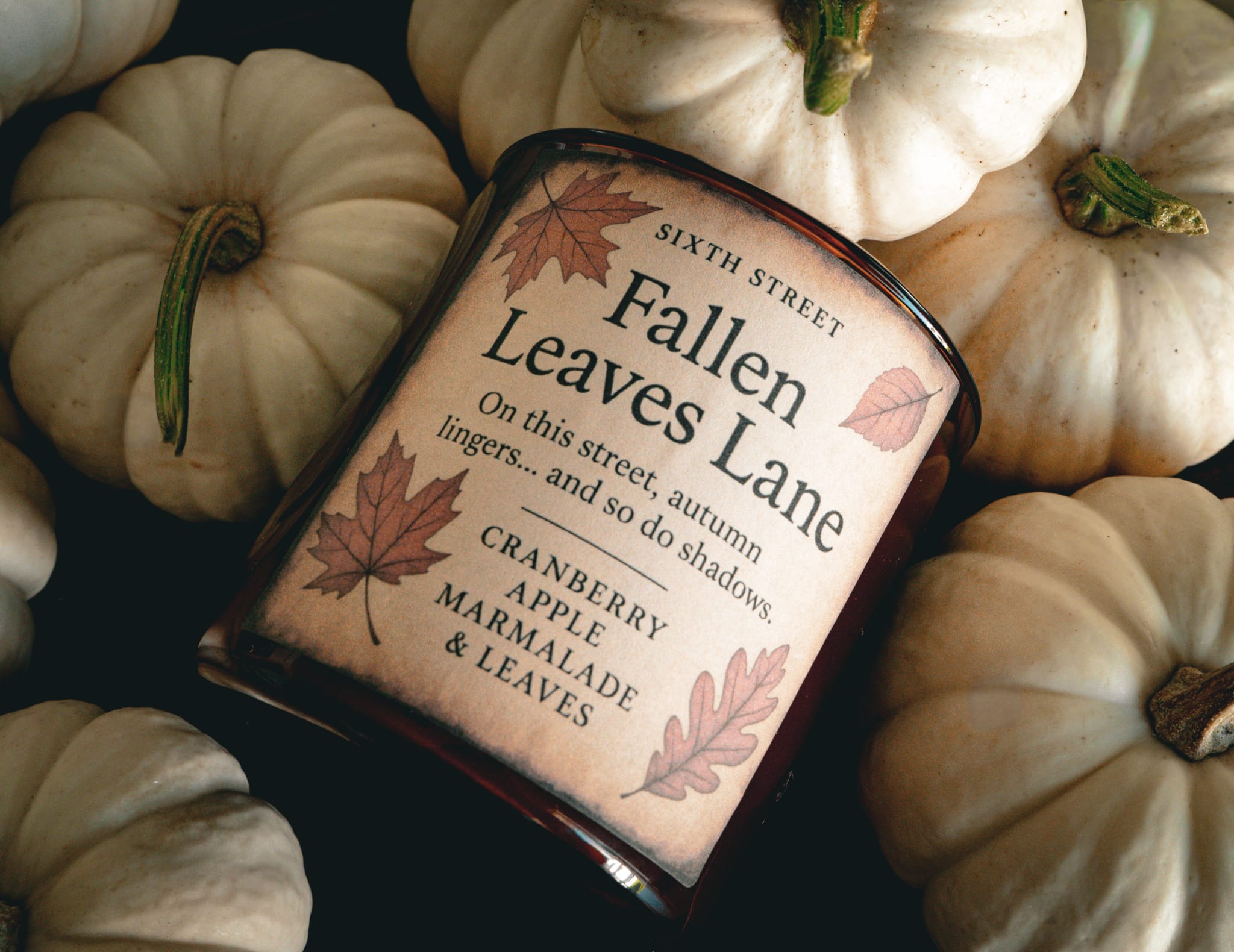 Fallen Leaves Lane